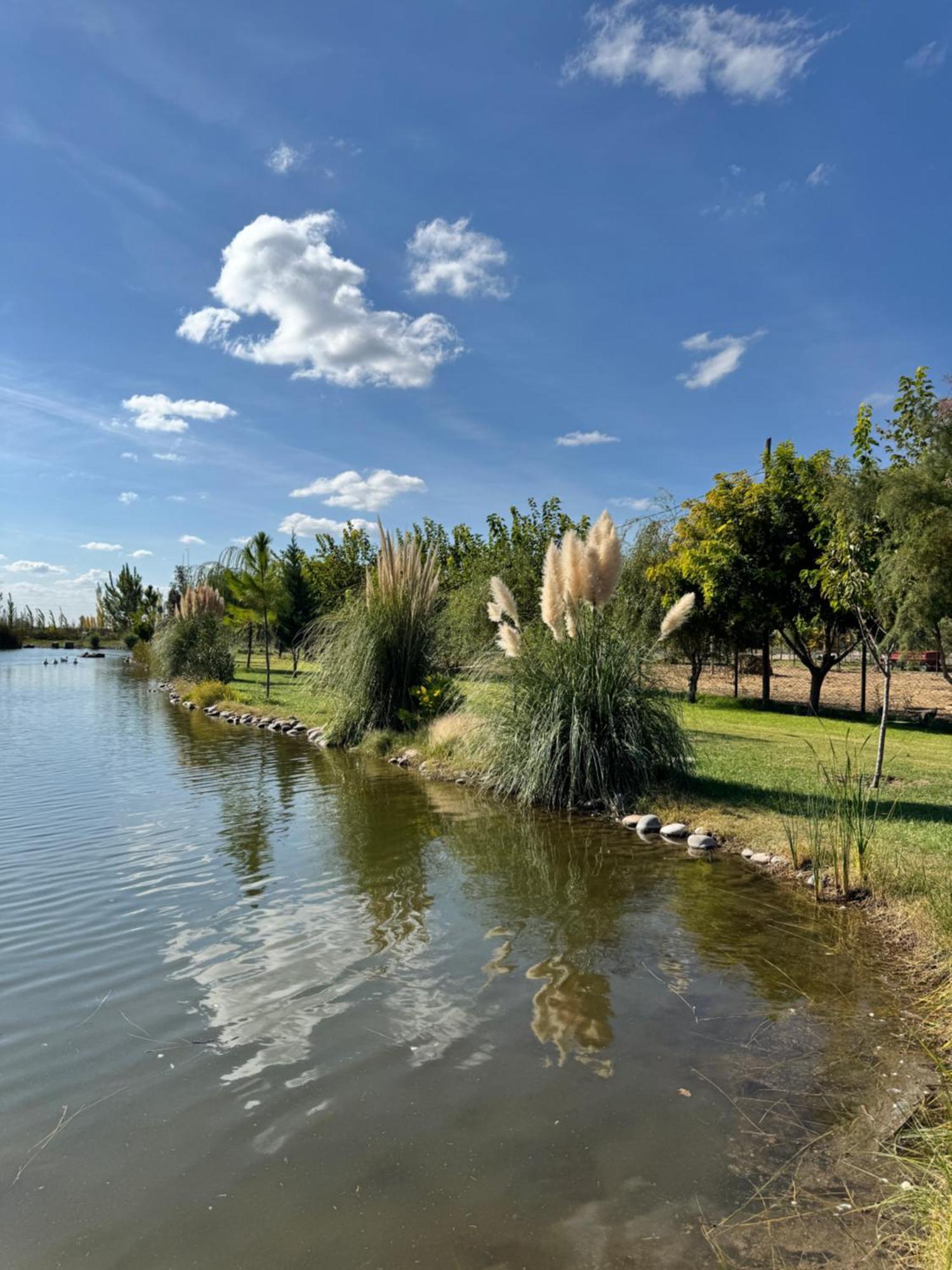 Complejo Koi General Alvear (Mendoza) Exterior foto